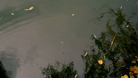 Conduct a water study on a river. Selective focus. - Powered by Shutterstock - Get 15% off with code: PIKWIZARD15