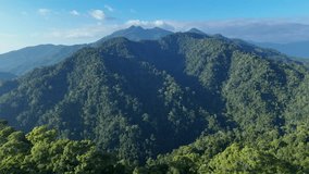 Aerial drone shot over primary Jungle tropical rain forest in Nan, Thailand. Aerial view, moving over a rainforest tree canopy in a slow pace beautiful green nature background of a tropical forest.	 - Powered by Shutterstock - Get 15% off with code: PIKWIZARD15