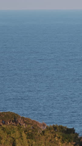 Humpback whale jump far away from shore, breaches near East London South Africa. Shot in Hawaiian Islands Humpback Whale National Marine Sanctuary. Humpback whale jumps out of the water Slow motion