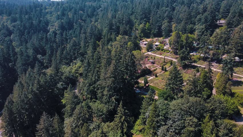 Aerial landscape of Washington Park garden and Portland nature scape sunny summer day in Oregon USA