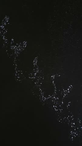 A girl enjoys paddling on a stand up paddleboard in serene water during the early morning hours, surrounded by nature