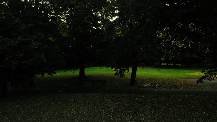 Trees in English park at dusk wide aerial drone zoom wide shot selective focus