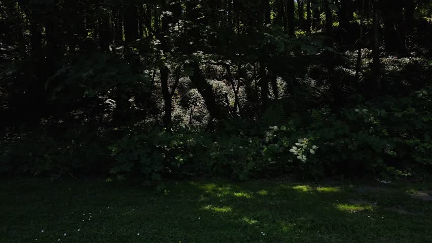 Aerial landscape of Washington Park garden and Portland nature scape sunny summer day in Oregon USA