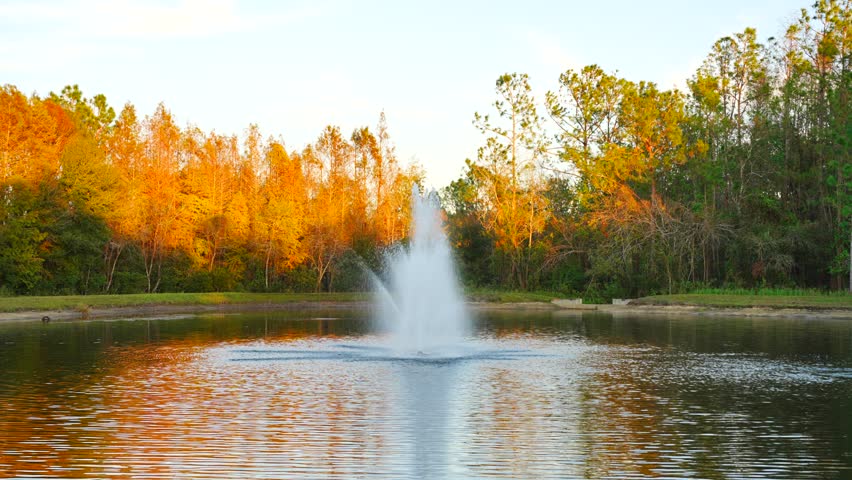 The winter pond sun set landscape in New Tampa area, Florida	