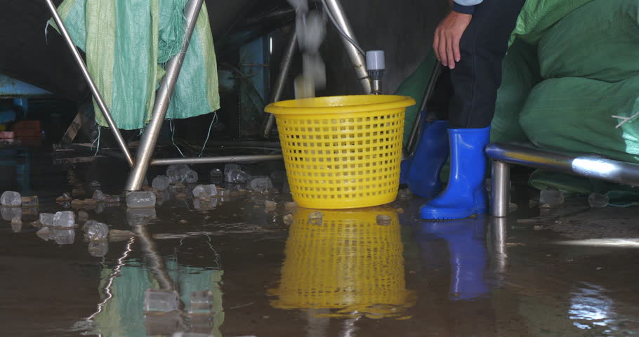 close up of a worker handles  yellow baskets, pouring ice cubes. The industrial setting includes ice, equipment, a wet floor, and scattered ice cubes, indicating large-scale ice management
