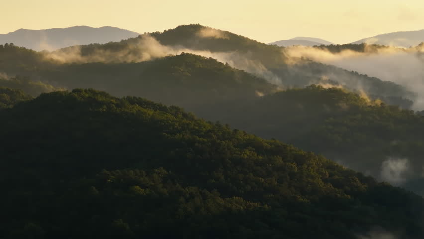 Nature landscape of Tennessee Appalachian mountains. Mountain forest with green canopies in summer rain season