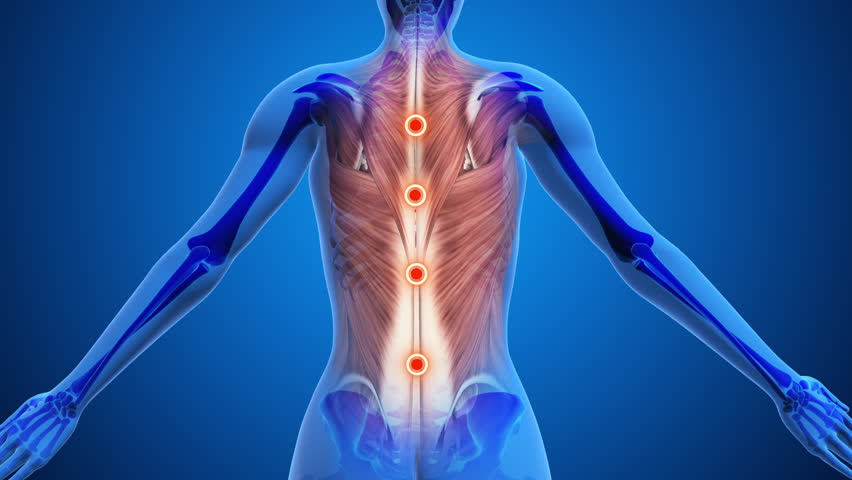 Highlighted Acupressure Points for Back Relief