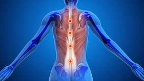 Highlighted Acupressure Points for Back Relief - Powered by Shutterstock - Get 15% off with code: PIKWIZARD15