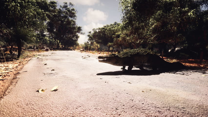 A crocodile moves slowly across a dry, cracked road surrounded by trees under a bright sky. The wilderness setting creates a contrast with the reptiles rugged appearance.