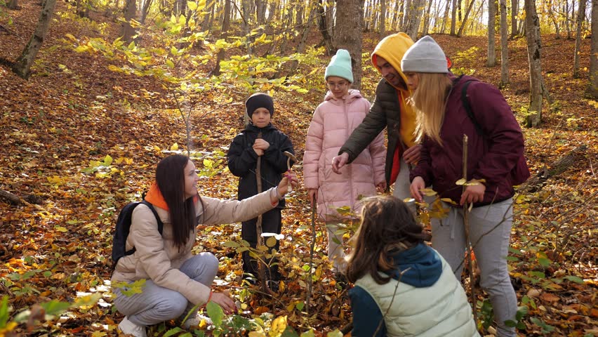 A happy family in warm clothes with children are picking mushrooms in the autumn forest, they find mushrooms in the foliage and cut them off.