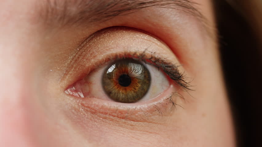 Green brown macro woman eye, Close-up womans blinking eye with long eyelash and contact lens. Beauty make up of green eye with day light.