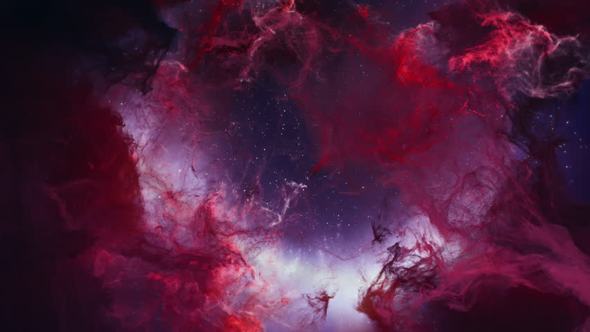 Shutterstock Video