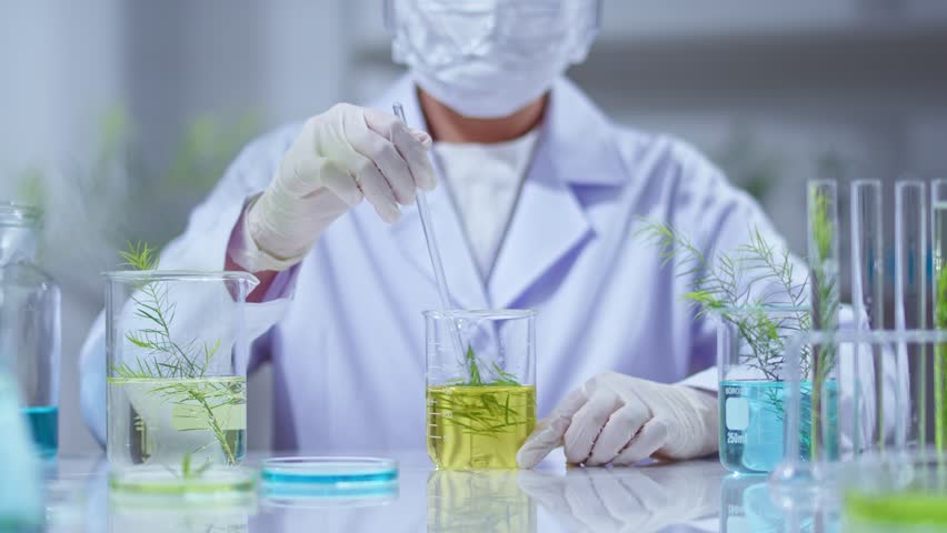A template video with a lab backdrop shows a viewpoint of a scientist stirring solution with a tea tree inside, surrounded the table by some beakers, substances, test tubes, and natural ingredients. - Powered by Shutterstock - Get 15% off with code: PIKWIZARD15