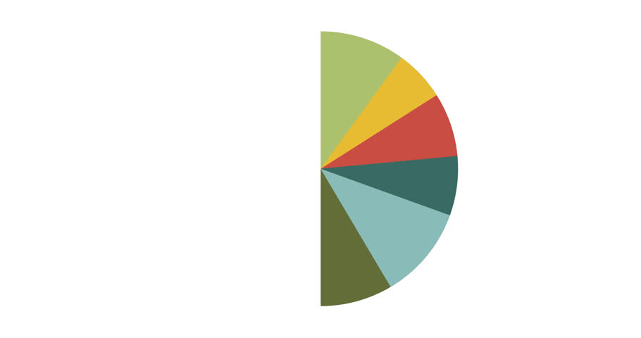 Pie chart animation with percent circle chart infographic on white background. Motion graphic