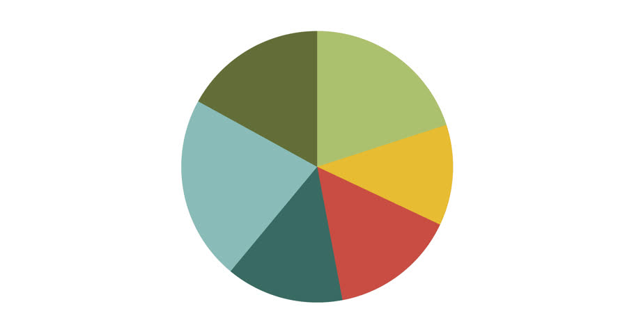 Pie chart animation with percent circle chart infographic on white background. Motion graphic