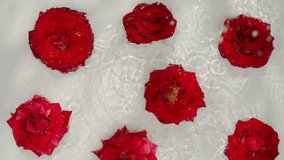 Raindrops falling on a composition of red roses floating in clear water on a white background - Powered by Shutterstock - Get 15% off with code: PIKWIZARD15