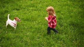 Baby with dog Jack russell terrier playing ball. Cute jack russell terrier dog playing with ball outdoors in summer park. Pet and child concept. Child pet owner catching and throwing ball with dog. - Powered by Shutterstock - Get 15% off with code: PIKWIZARD15