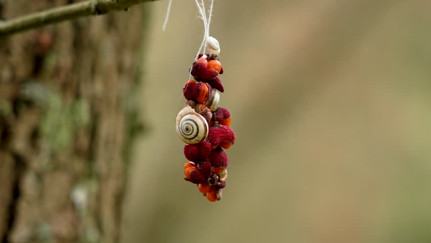 Handmade decoration of red berries and spiral shells tied with white string hangs from a tree branch in forest.