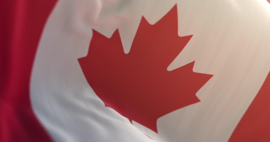 Canada Flag waving at wind. Loop