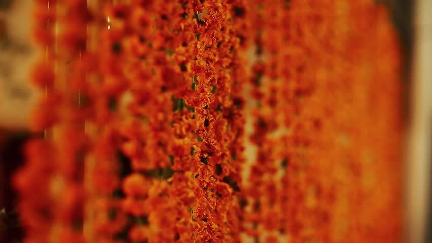 Wedding decor accessories for pakistani and Indian wedding, genda phool decoretion toran in wedding function, orange Marigold flowers arranged in alternate order, Beautiful marigold flowers wedding

