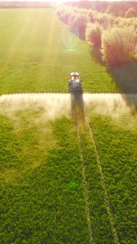 Irrigation agricultural field, machinery moving on farmland and sprinkling water with fertilizer and pesticides for good grow of plants. Aerial vertical view, agribusiness, farming in ecological area