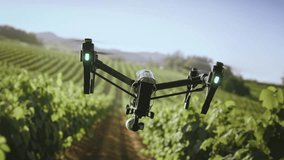Drone Flying Over Green Vineyard Rows Agricultural Technology Modern Farming Future - Powered by Shutterstock - Get 15% off with code: PIKWIZARD15