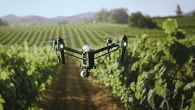 Agricultural Drone Flying Over Vineyard Rows Modern Farming Technology Innovation - Powered by Shutterstock - Get 15% off with code: PIKWIZARD15