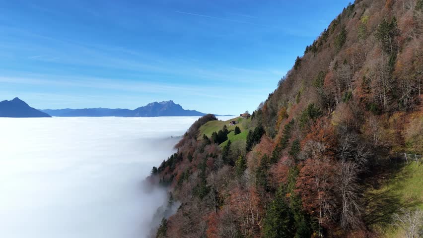 Autumn trees on vitznauerberg mountain overlooking misty valley and distant peaks, aerial view