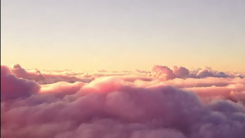 Shutterstock Video