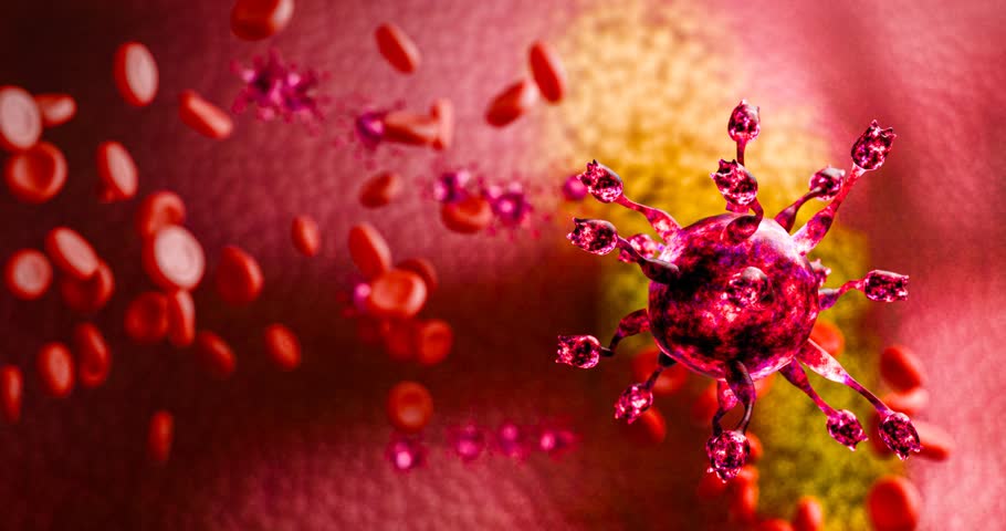 Simulation of HIV virus or COVID-19. Outbreak of the virus in the body. Immunodeficiency or AIDS destroys the body's immune system, which spreads and destroys the body's nervous system. 3D Rendering