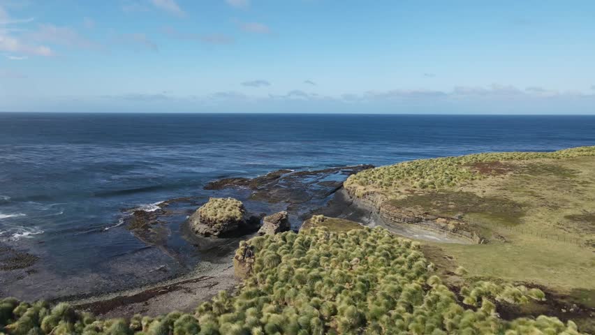 Crashing ocean waves meet grassy cliffs and rugged rocks along the stunning coastline of the falkland islands