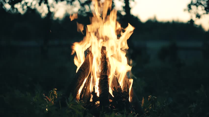 Warmth Camping Twilight Flaming Bonfire In Forest. Campfire Burning In Tourist Camp. Bonfire Burning At Sunset Camping. Cozy Relaxing Fireplace On Camp. Sitting By Campfire. Fireplace Flame At Night