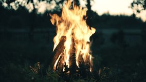 Warmth Camping Twilight Flaming Bonfire In Forest. Campfire Burning In Tourist Camp. Bonfire Burning At Sunset Camping. Cozy Relaxing Fireplace On Camp. Sitting By Campfire. Fireplace Flame At Night - Powered by Shutterstock - Get 15% off with code: PIKWIZARD15