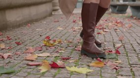 Colorful autumn leaves scattered on a cobblestone path in a quiet urban park during early evening - Powered by Shutterstock - Get 15% off with code: PIKWIZARD15