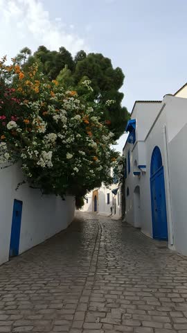 A beautiful view of the village of Sidi Bou Said, Tunisia