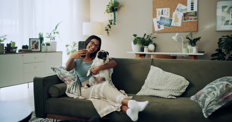 Selfie, hug or happy woman with dog on sofa to relax and play with love, memory or pug animal. Pet owner, home and Indian girl influencer with companion, smile and friendship for social media picture