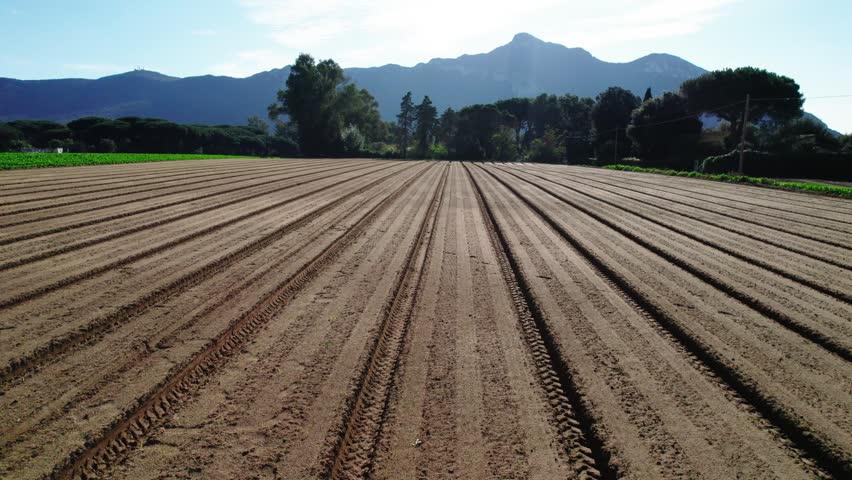 Beautiful manicured fields with vegetables in the middle of Italy
