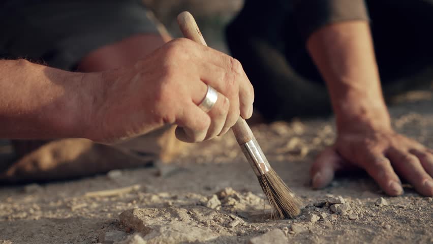 Archaeologist Carefully Excavating with a Brush at a Dig Site