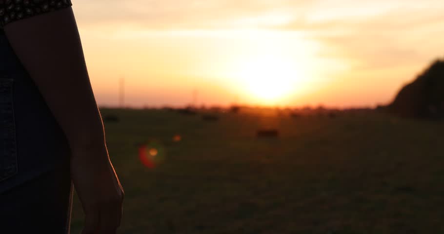 Close-up of the silhouettes of a couple in love, man and woman holding their hands together and the golden sun gently setting below the horizon, romantic scene at sunset, slow motion
