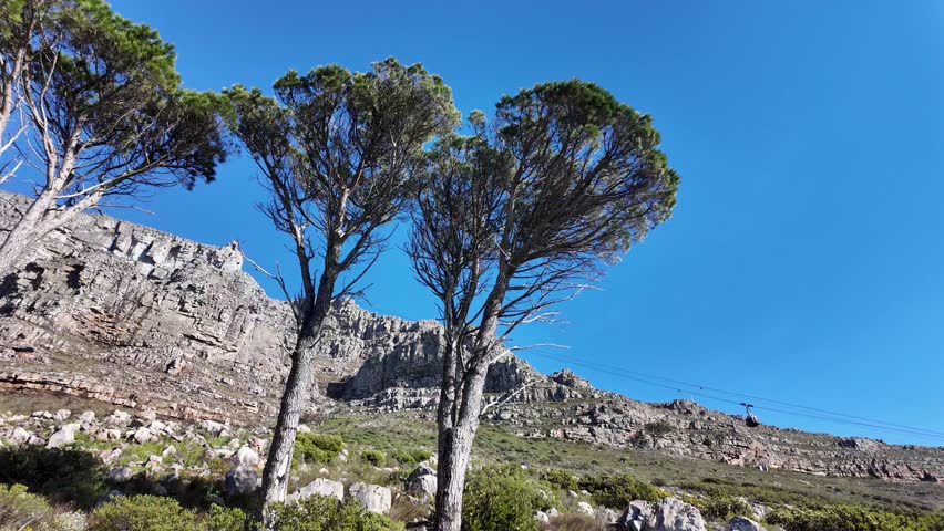 Table Mountain At Cape Town In Western Cape South Africa. National Park Scene. Giant Rocks. Cape Town At Western Cape South Africa. Tourism Travel. Transportation Skyline.