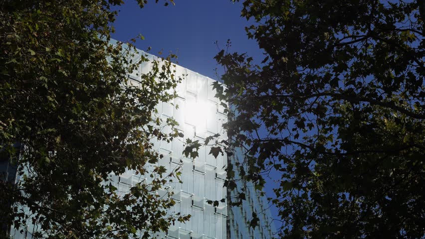 Modern glass office scyscraper buildings beautifully reflecting the clear blue sky in an urban environment