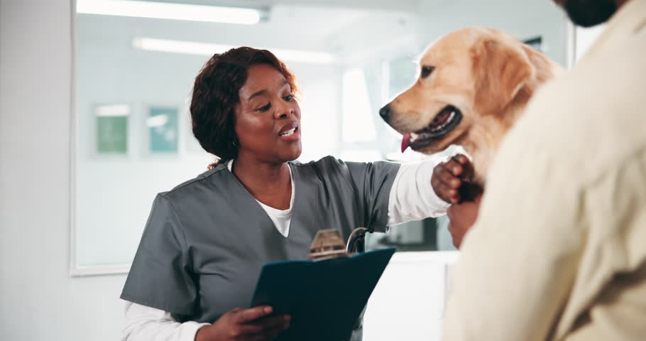 Happy dog, woman and man in animal clinic, clipboard and comfort with consultation. Employee, vet and service with best friend, professional and pet care with veterinarian, help and healthy pup