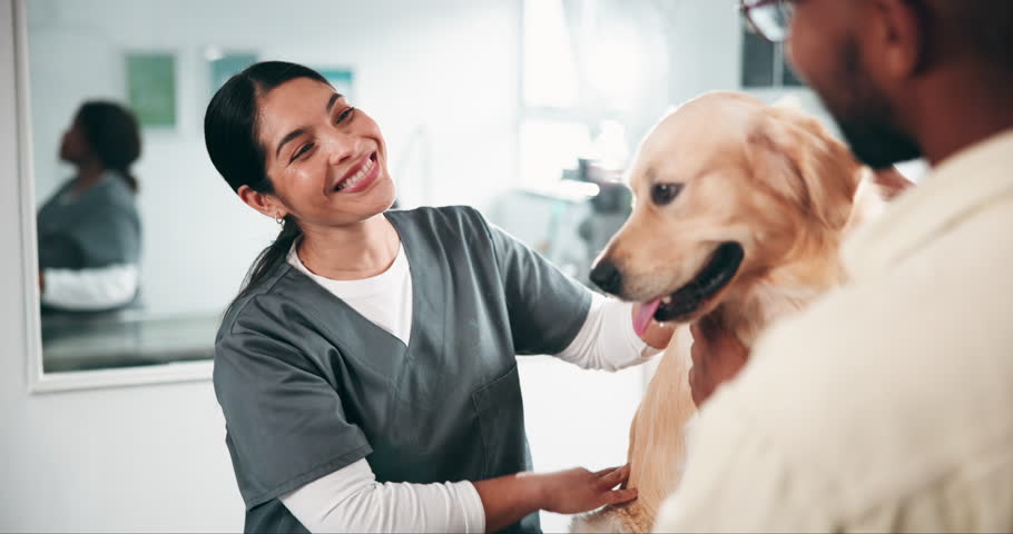 Dog, owner and medical consultation with doctor for sick appointment, affection and treatment discussion. Veterinarian, person and pet patient in clinic for health diagnosis, animal care and support