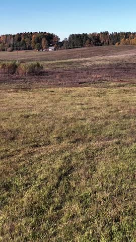  Lake Auleja, landscapes on meadows and forests in autum time, Aulejas parish. Latgale. (Latvia)
