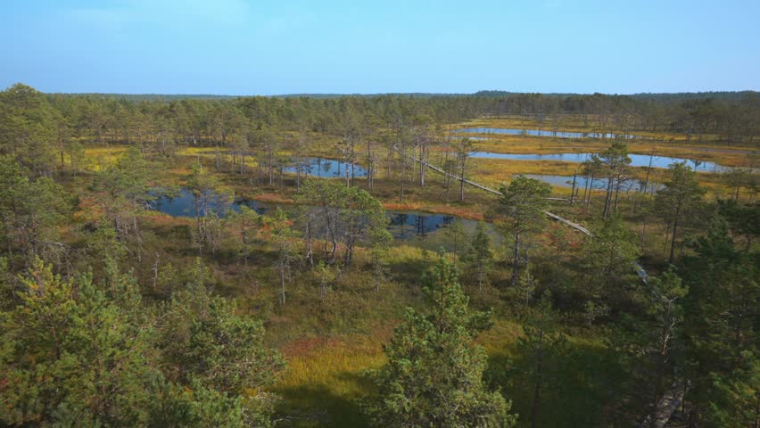 Viru Raba swamp lake in Estonia.