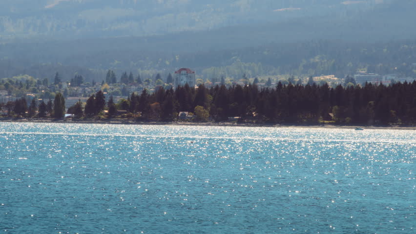 Killer whales swimming in the ocean, near the coast of Vancouver Island, Canada. Slow motion.