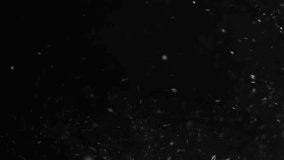 winter, season and christmas concept - snow falling over black night sky - Powered by Shutterstock - Get 15% off with code: PIKWIZARD15