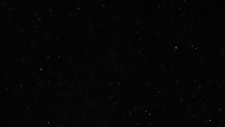 Snow falling animation. 4k transparent background with alpha channel. Large and small snowflakes circle and fall to the ground. Winter, Christmas and New Year.