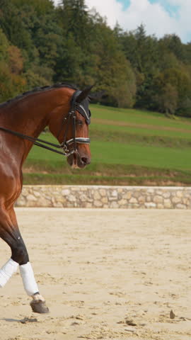 SUPER SLOW MOTION: English dressage horseback rider galloping on her beautiful stallion during a competition. Young Caucasian woman in formal clothes riding her chestnut gelding around the manege.