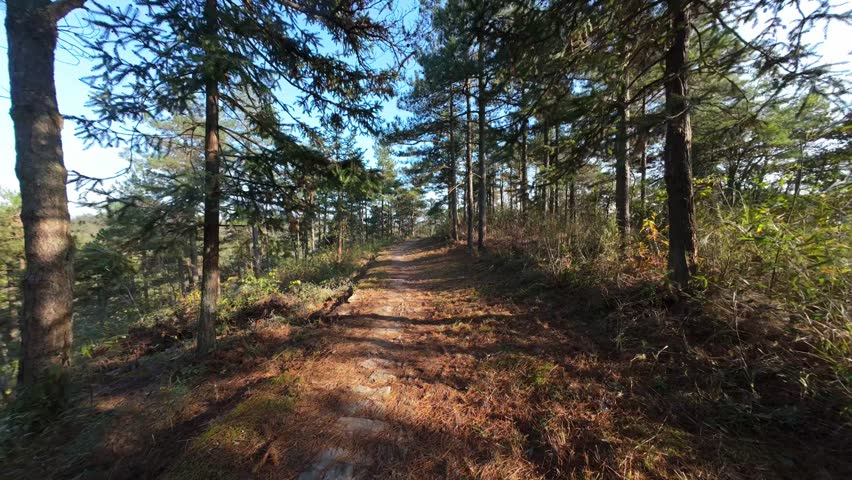 POV hike in mountain in Zhejiang, China, walking along path through redwood forest, colorful plants mountains, following, smooth motion gimbal, dirt path and rock steps, 4k real time footage b roll.